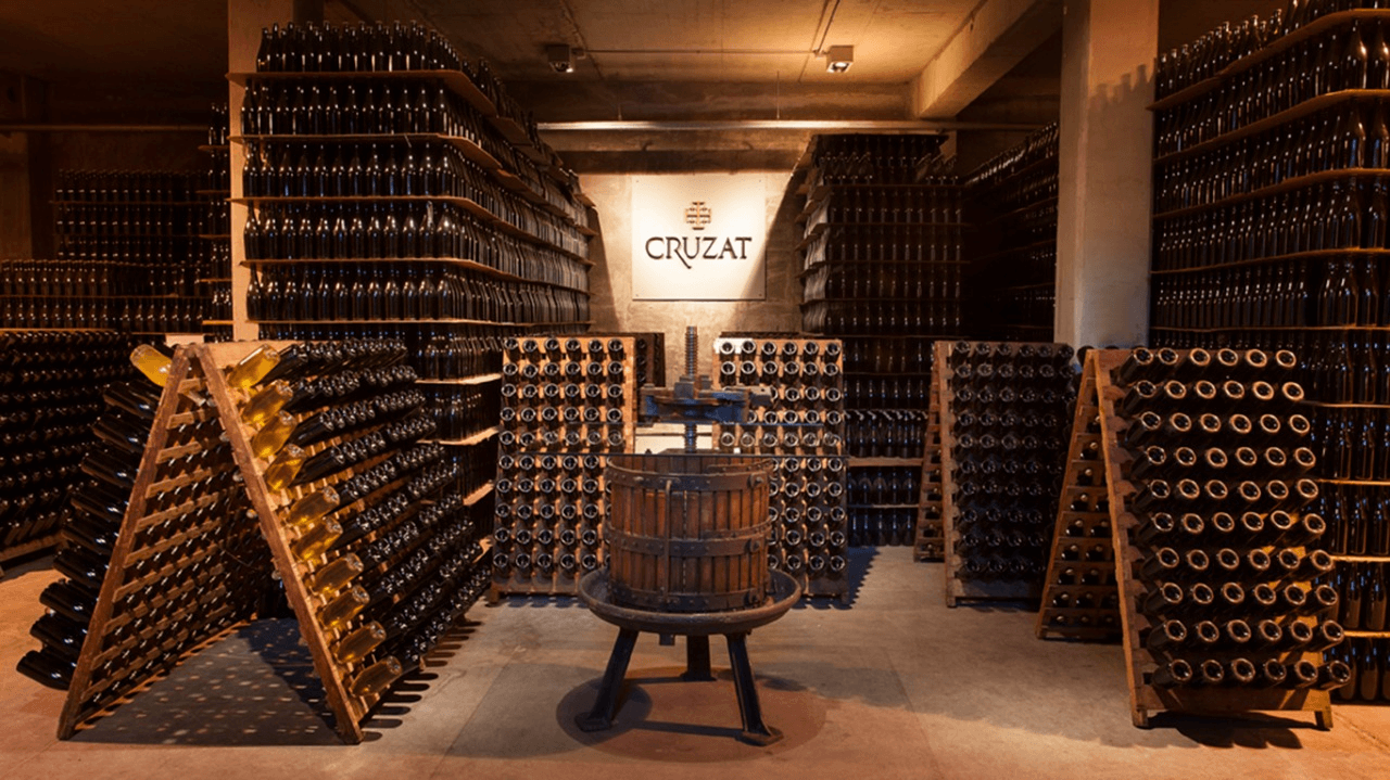 cruzat3 1