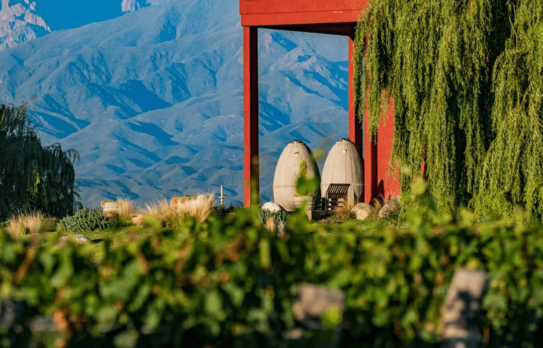 winery-eggs.zorzal 1